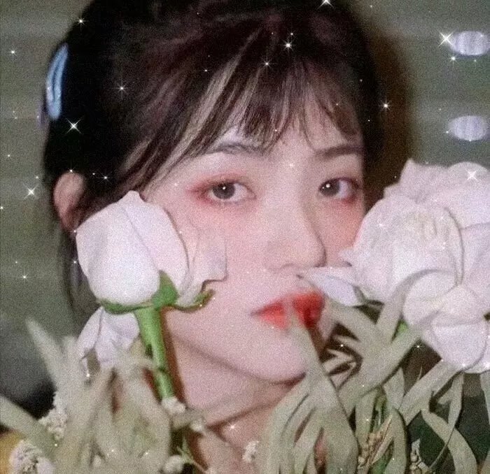 诅咒船长