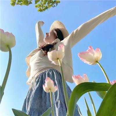 河曲马